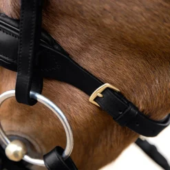 EQUINAVIA Horze Lester Snaffle Bridle