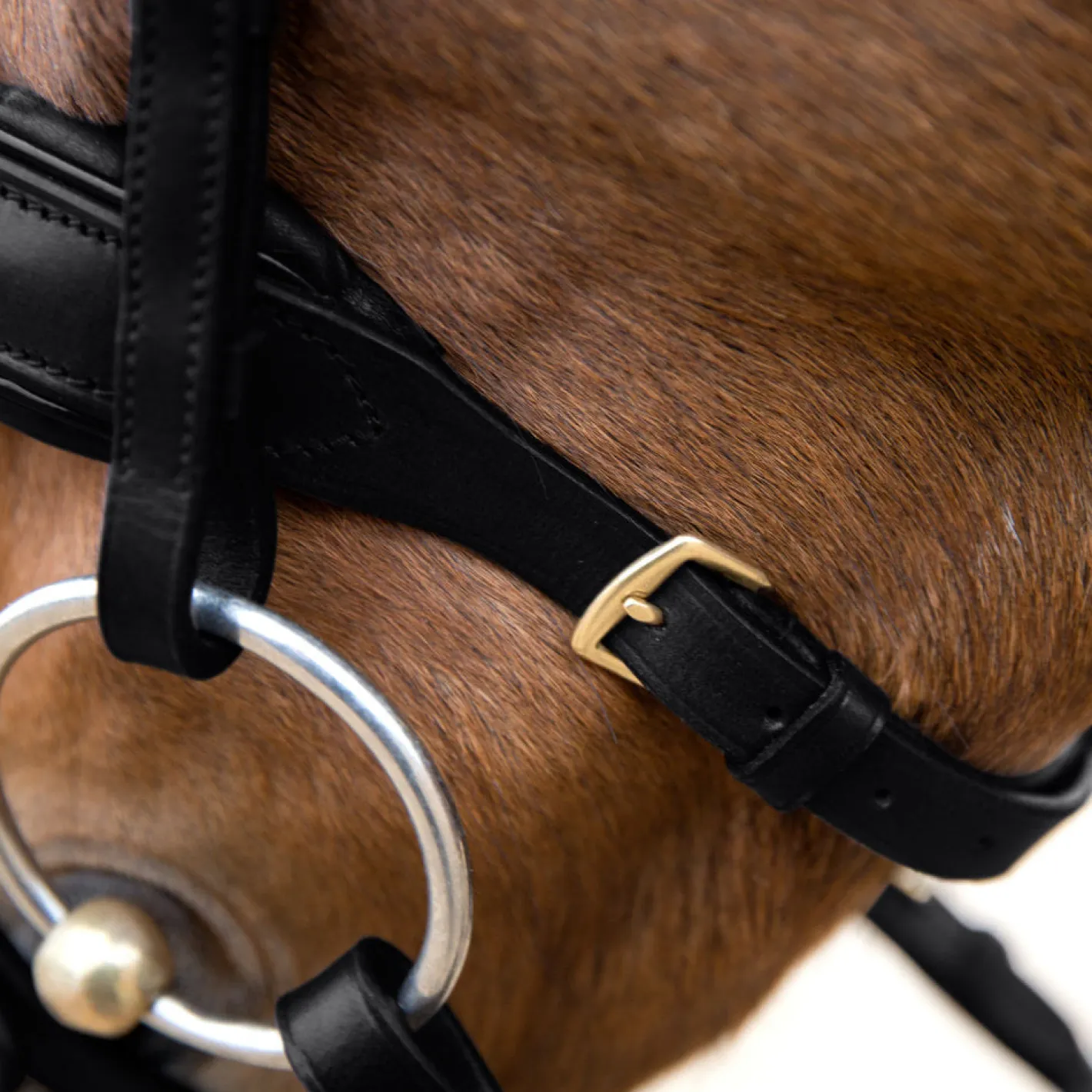 EQUINAVIA Horze Lester Snaffle Bridle