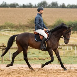 EQUINAVIA Horze Men’s Grand Prix Full-Seat Breech with Silicone Grip