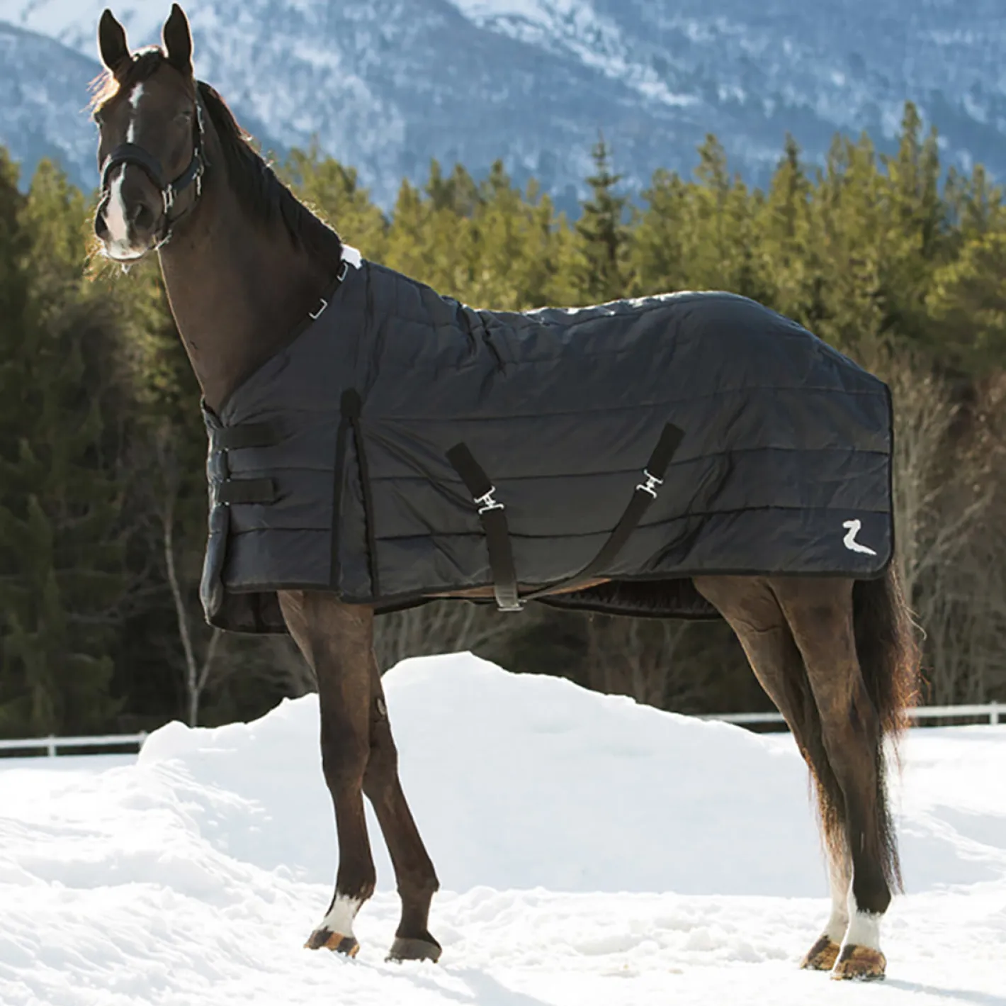 EQUINAVIA Horze Nevada Lightweight Stable Blanket