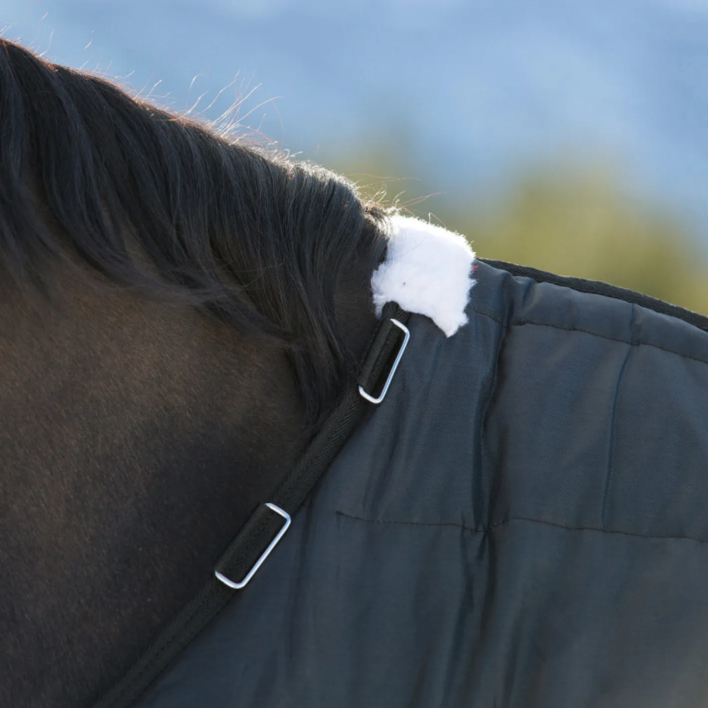 EQUINAVIA Horze Nevada Lightweight Stable Blanket