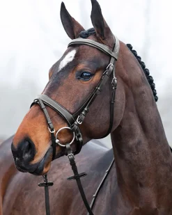 EQUINAVIA Horze Venice Snaffle Bridle