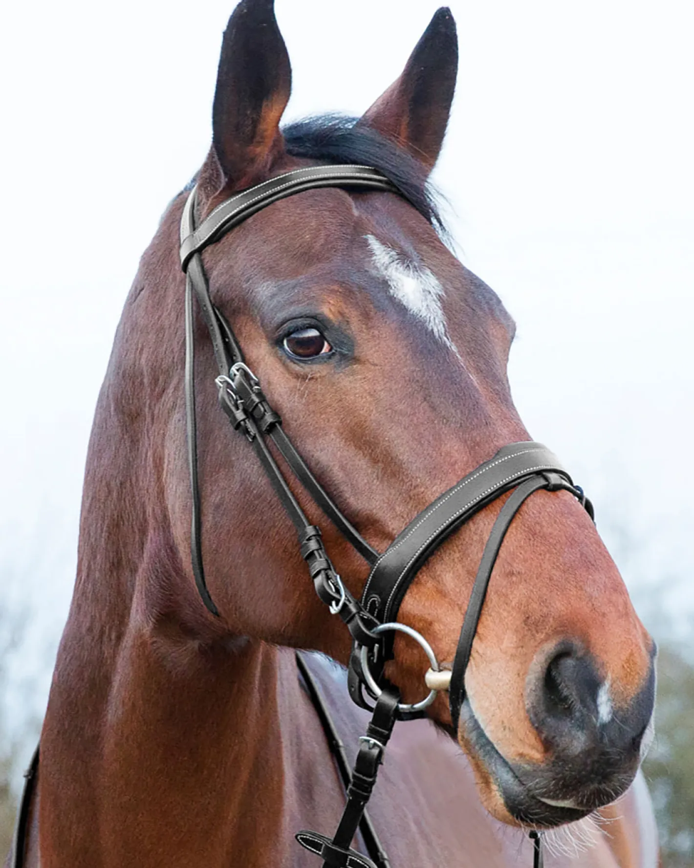 EQUINAVIA Horze Venice Snaffle Bridle