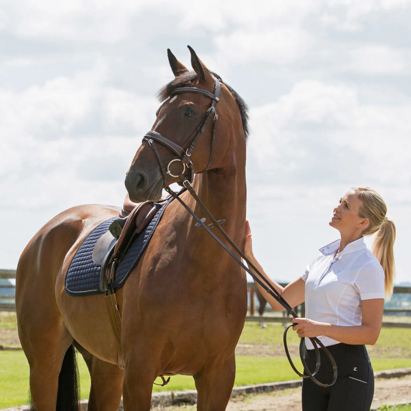 EQUINAVIA Horze Venice Snaffle Bridle