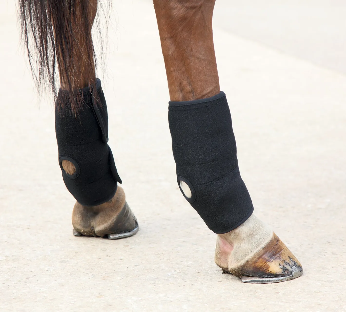 SHIRES EQUESTRIAN Hot/Cold Joint Relief Boots
