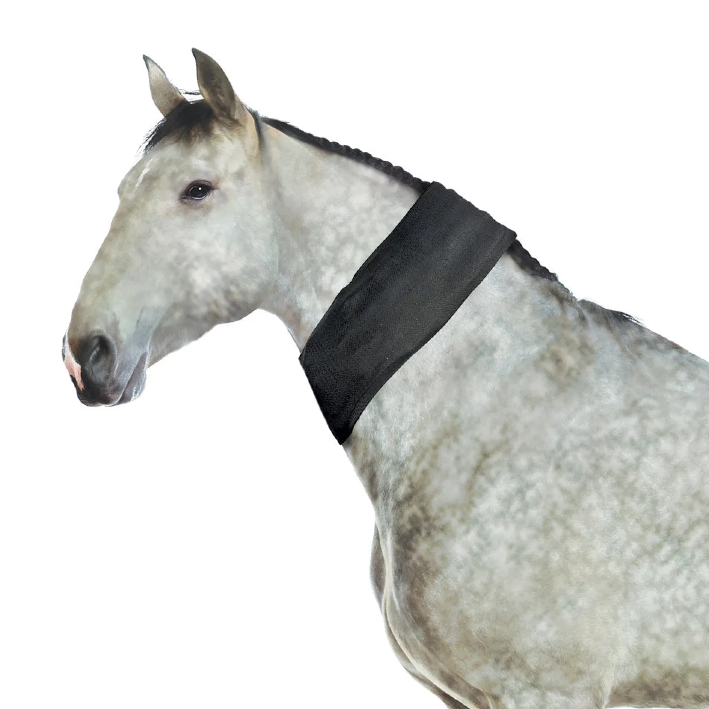 MACKINNON Ice Horse® All-Purpose Wrap
