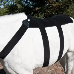 MACKINNON Ice Horse® Back Blanket