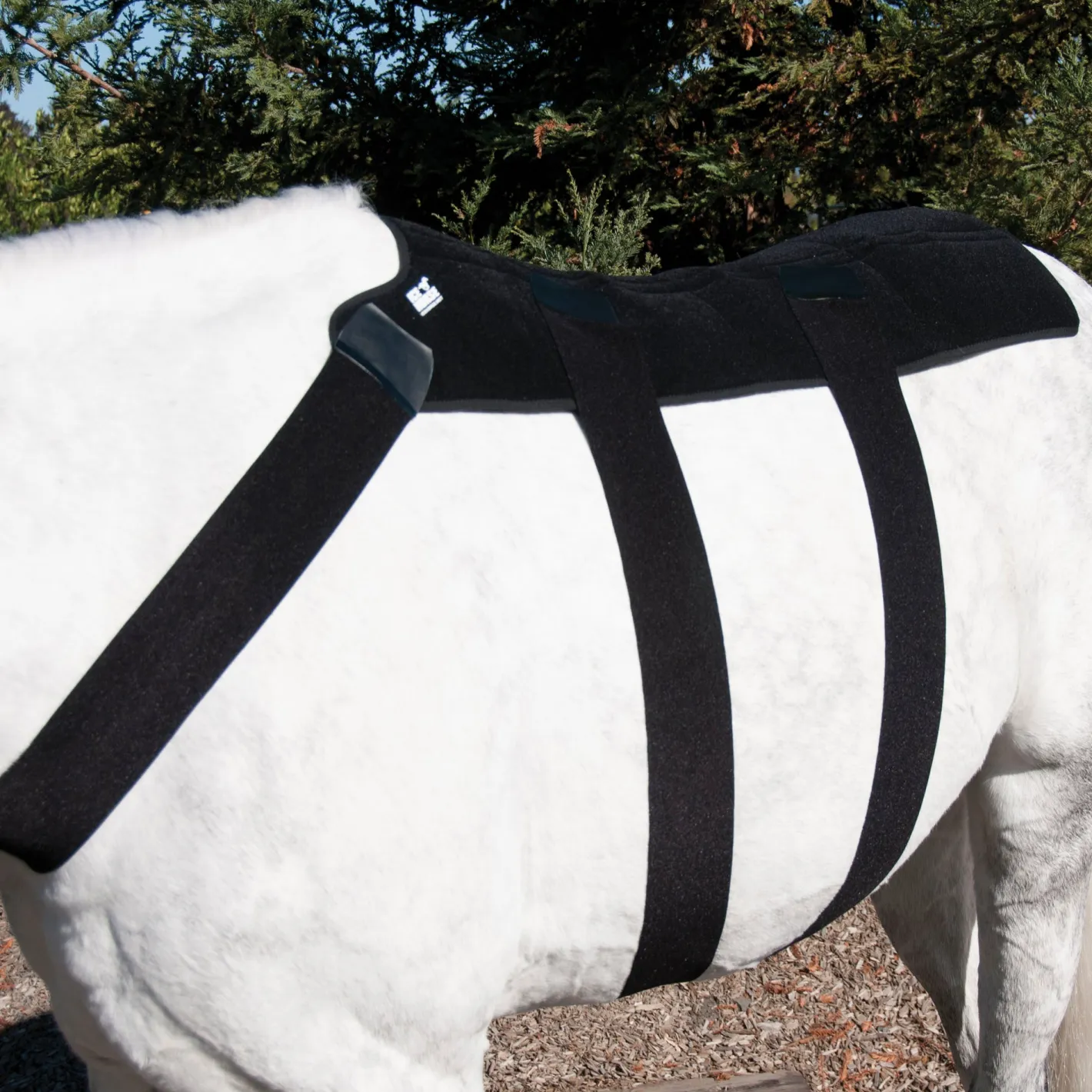 MACKINNON Ice Horse® Back Blanket