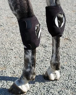 MACKINNON Ice Horse® Pony Hock Wrap – Pair