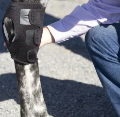 MACKINNON Ice Horse® Pony Hock Wrap – Pair