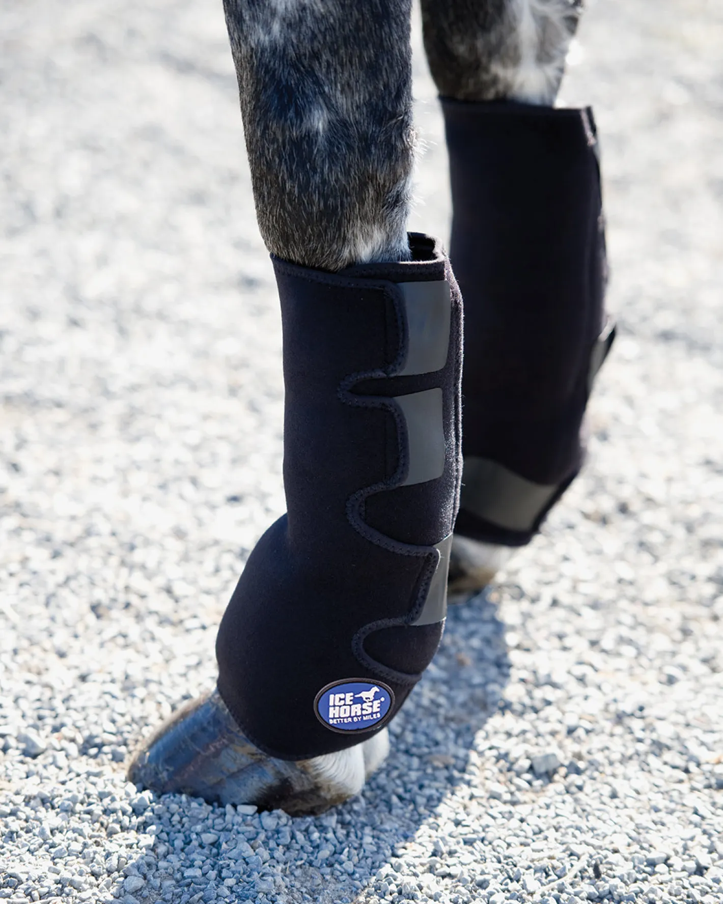 MACKINNON Ice Horse® Pony Suspensory Wrap - Pair