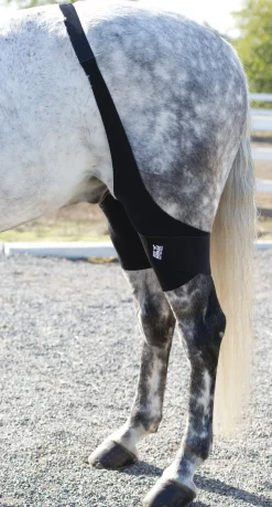 MACKINNON Ice Horse® Stifle Wraps
