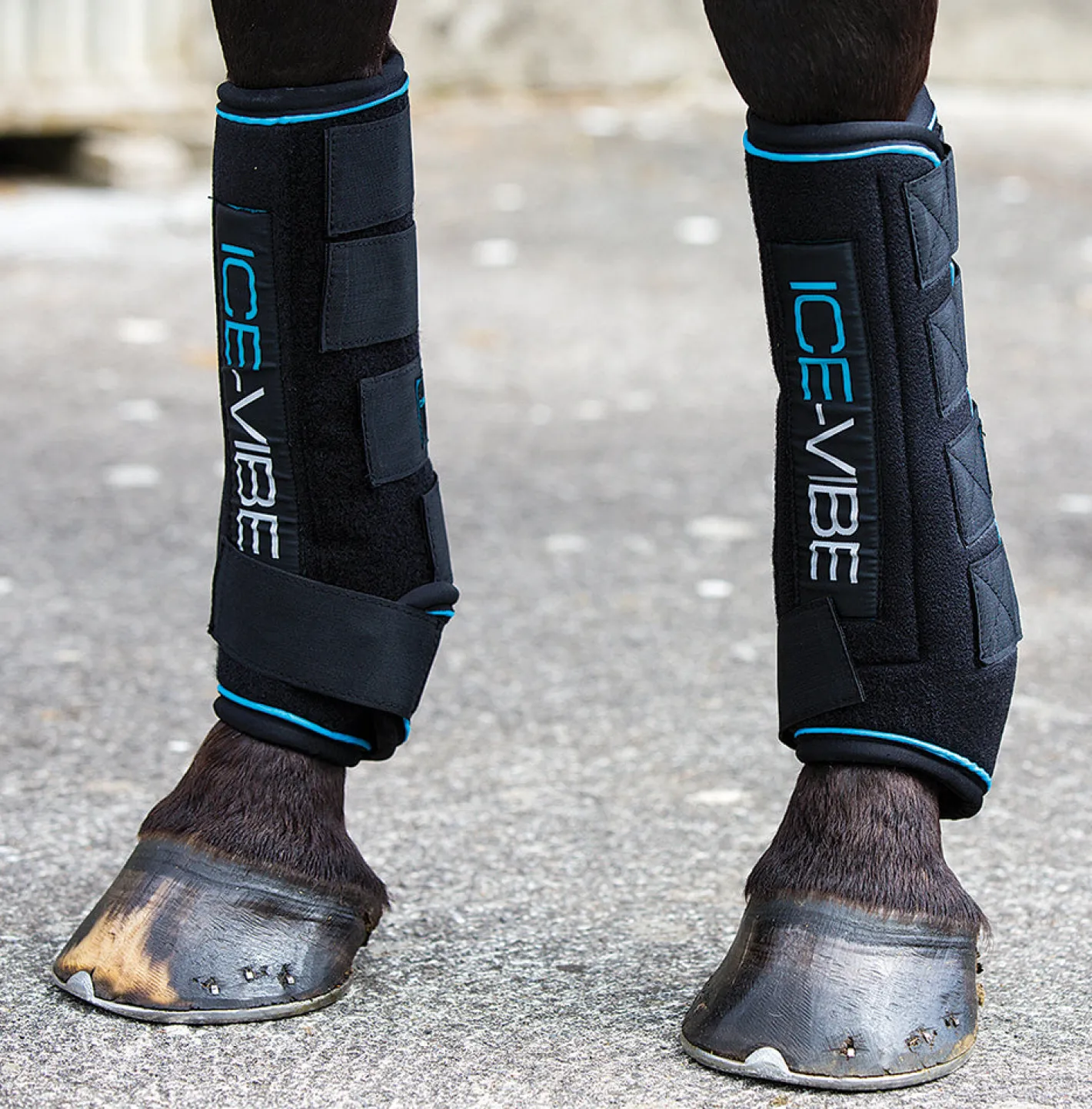 HORSEWARE ICE-VIBE Boots