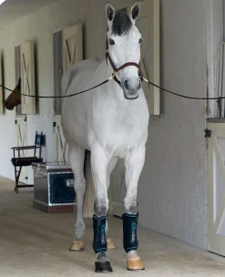 HORSEWARE ICE-VIBE Boots