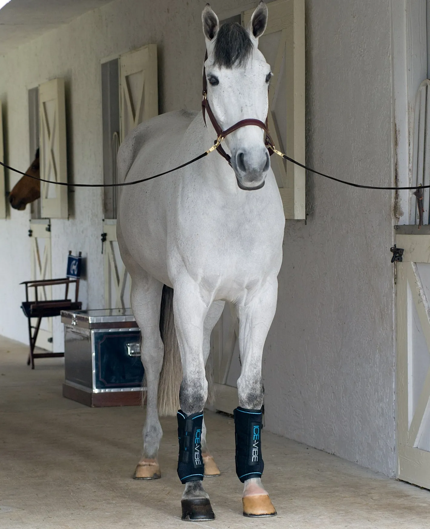 HORSEWARE ICE-VIBE Boots
