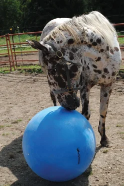 HORSEMEN S PRIDE Jolly Mega Ball