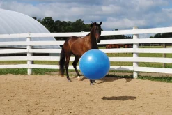 HORSEMEN S PRIDE Jolly Mega Ball