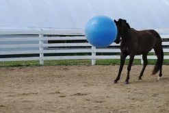 HORSEMEN S PRIDE Jolly Mega Ball