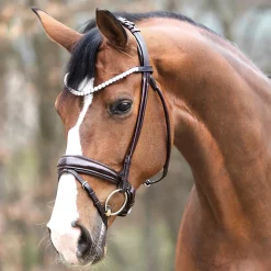 PEP-KAVALKADE Kavalkade Florina Bridle