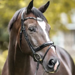 PEP-KAVALKADE Kavalkade Ivana Snaffle Bridle