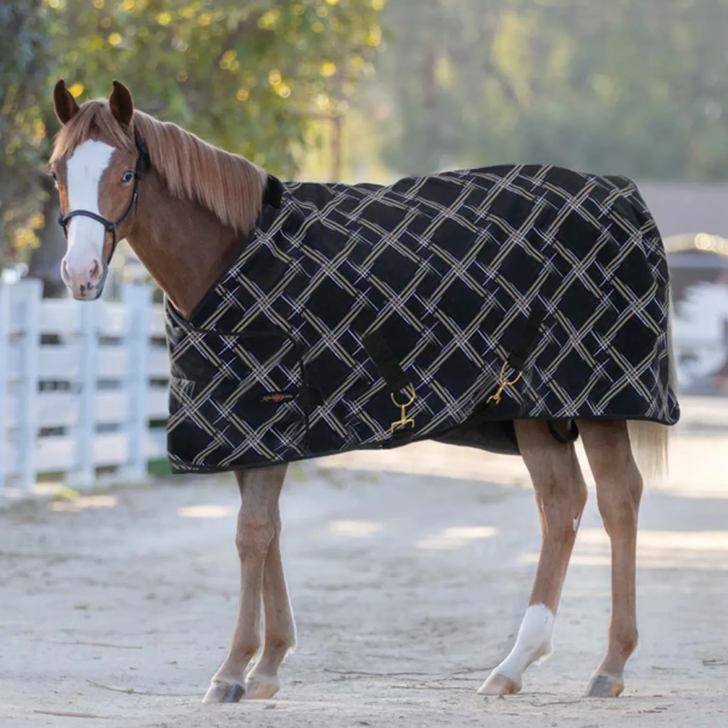 KENSINGTON ™ Adjustable Weanling Turnout Blanket