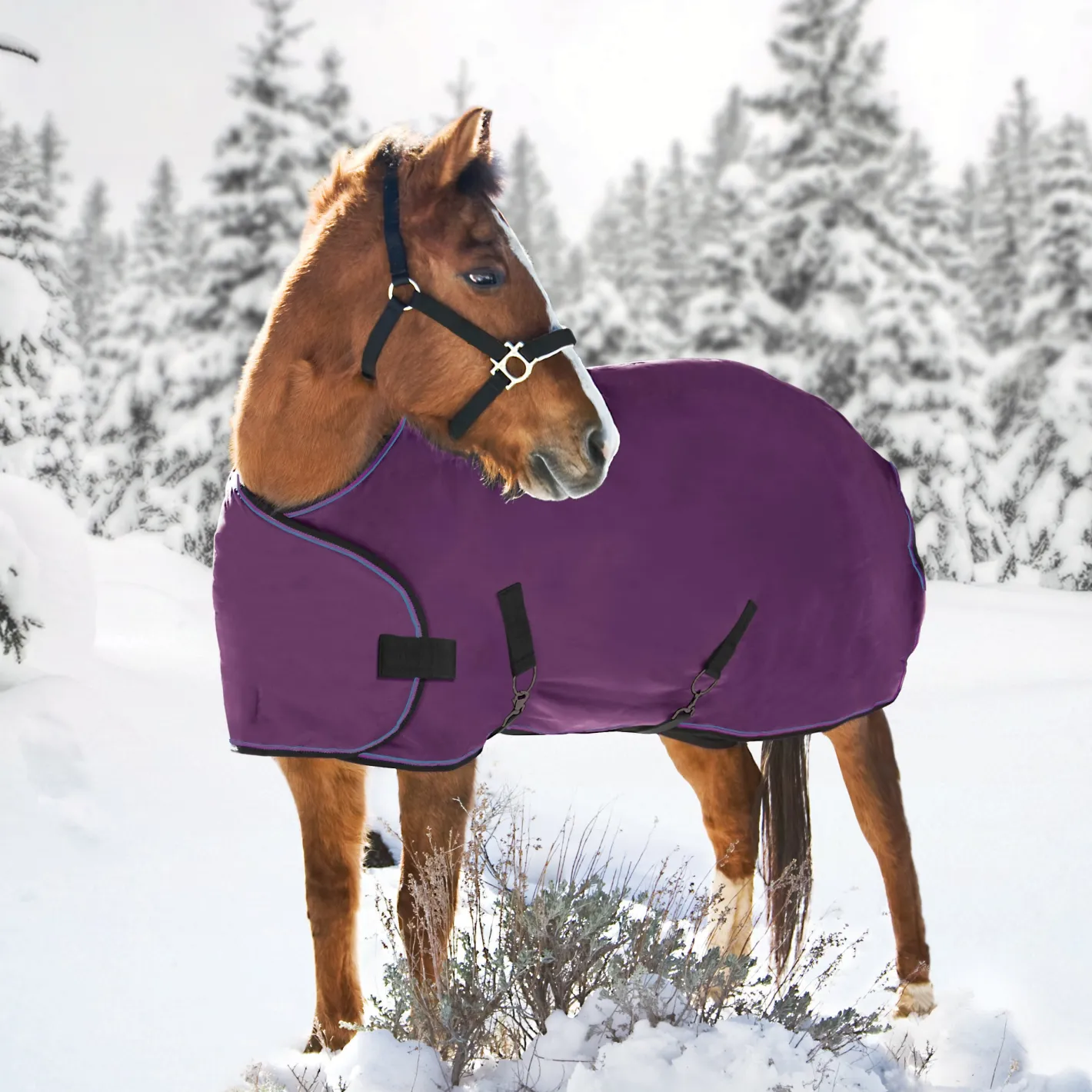 KENSINGTON ™ Adjustable Weanling Turnout Blanket