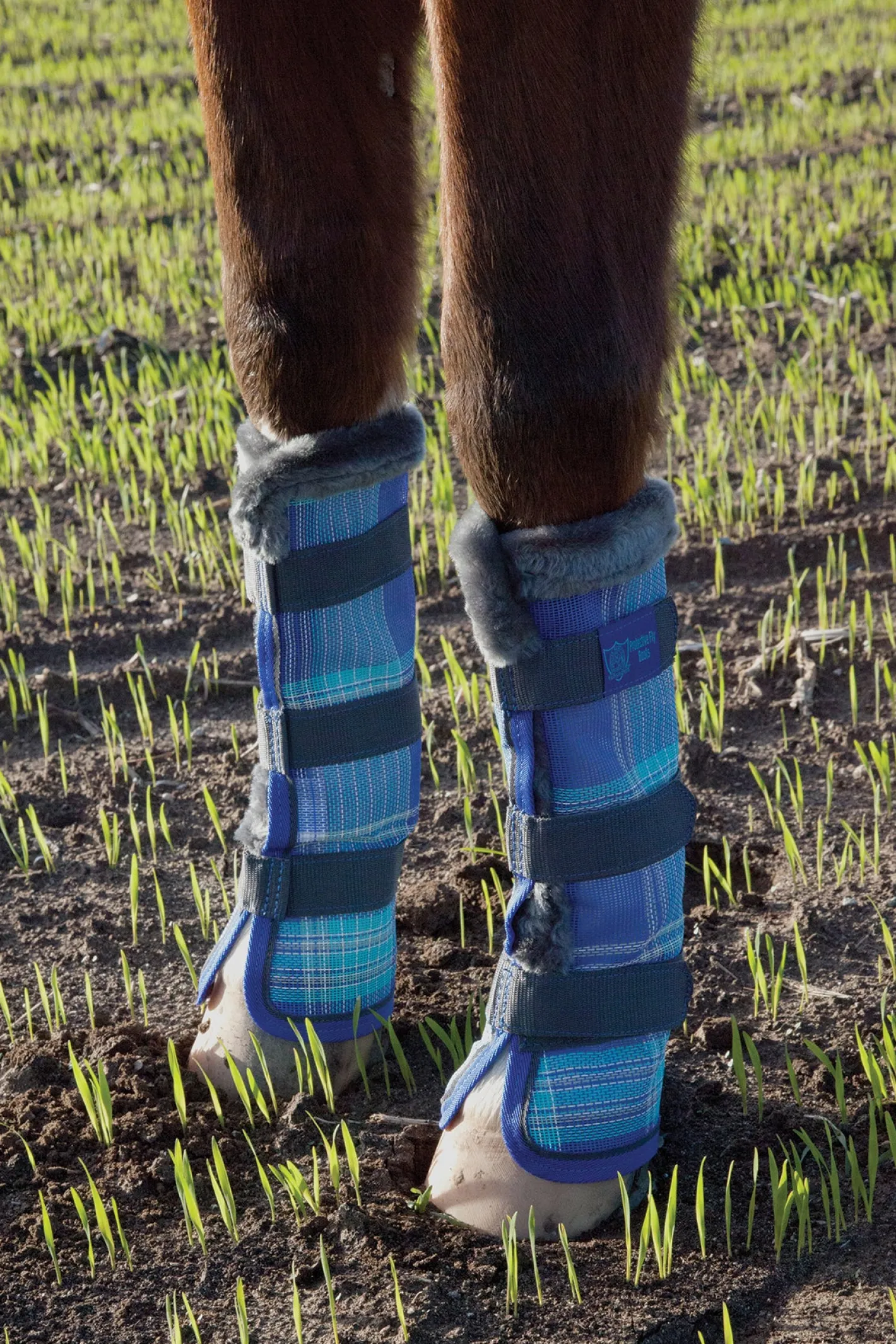 KENSINGTON ™ Fly Boots with Fleece Trim (Pair)