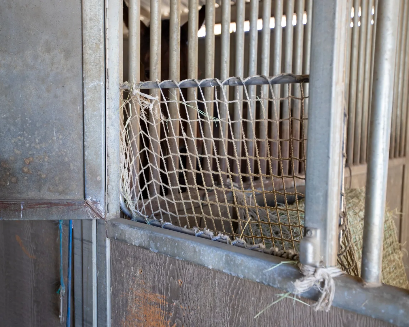 KENSINGTON ™ Freedom Feeder Adjustable Frame