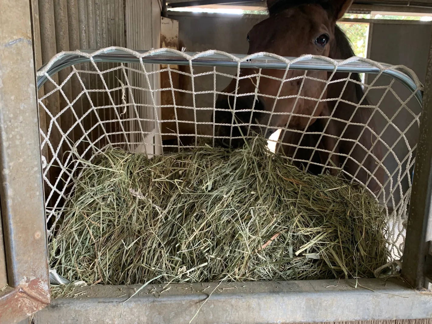 KENSINGTON ™ Freedom Feeder Adjustable Frame