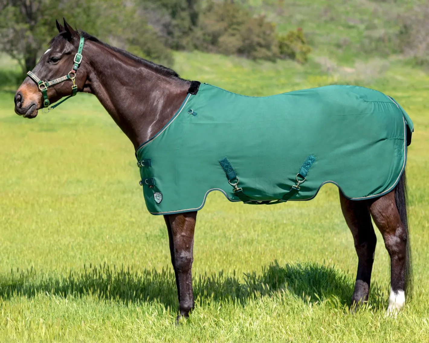 KENSINGTON ™ Poly Cotton Stable Sheet SureFit®