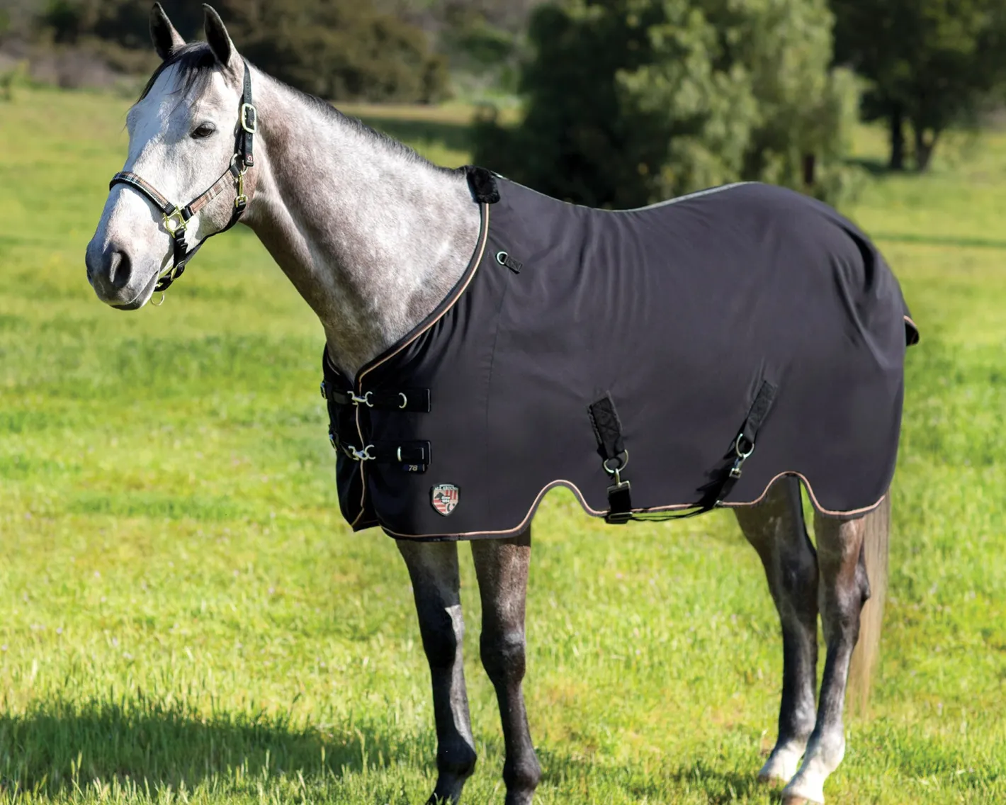 KENSINGTON ™ Poly Cotton Stable Sheet SureFit®