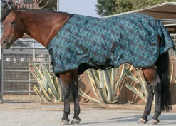 KENSINGTON ™ Pony Signature Medium Weight Turnout Blanket