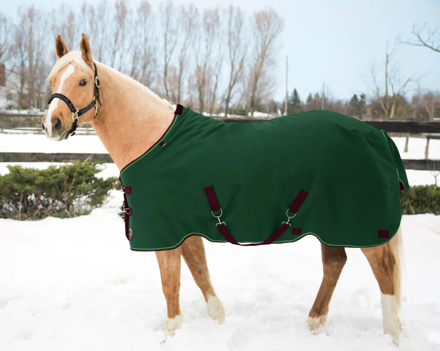 KENSINGTON ™ Pony Signature Medium Weight Turnout Blanket