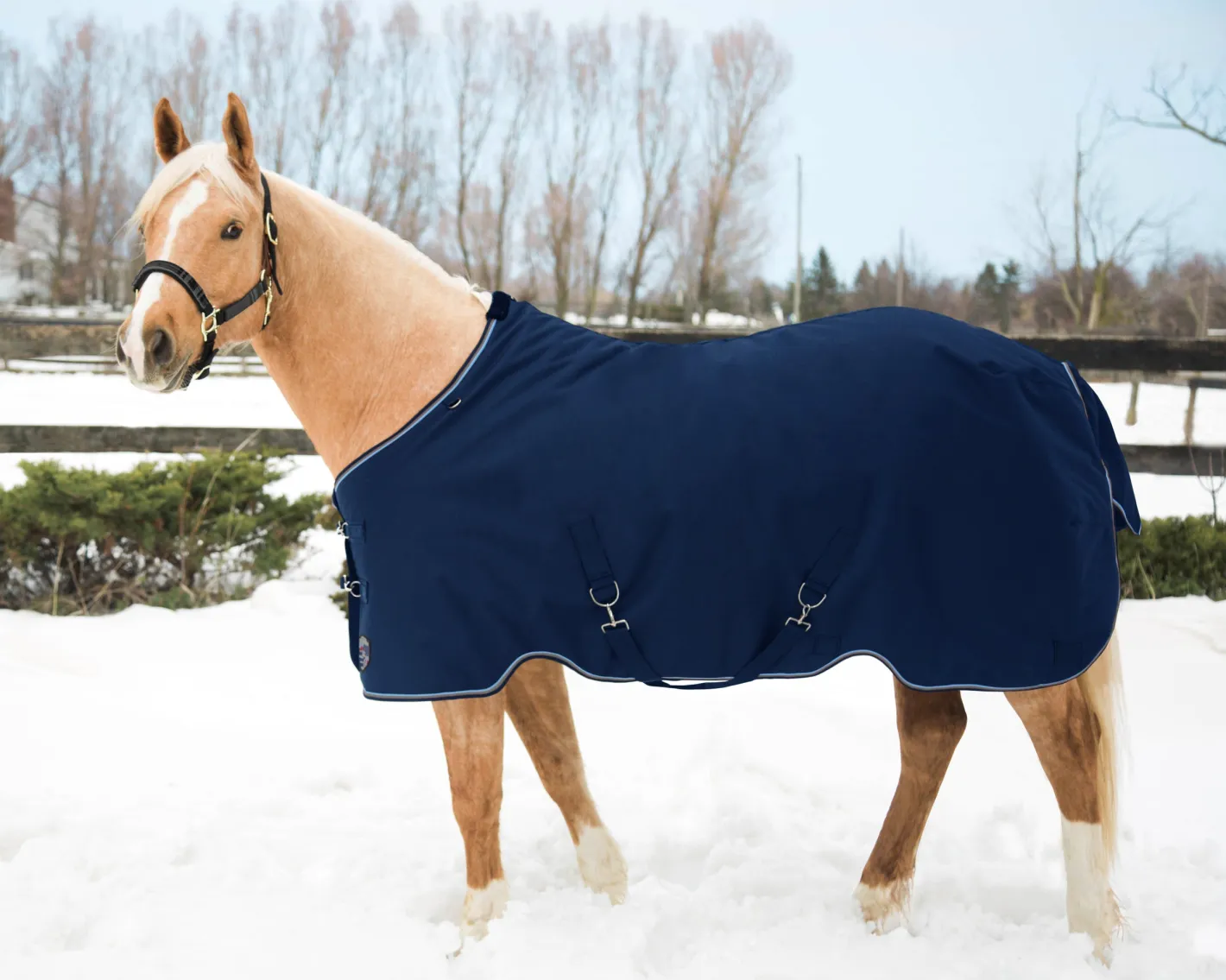 KENSINGTON ™ Pony Signature Heavyweight Turnout Blanket