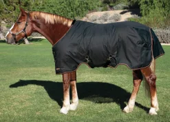 KENSINGTON ™ Pony Signature Lightweight Turnout Blanket