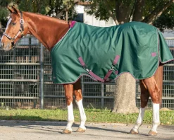 KENSINGTON ™ Pony Signature Lightweight Turnout Blanket