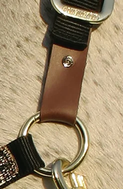 KENSINGTON ™ Premium Breakaway Halter