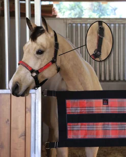 KENSINGTON ™ Premium Breakaway Halter