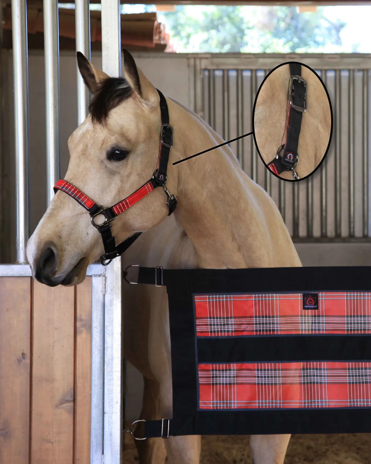KENSINGTON ™ Premium Breakaway Halter
