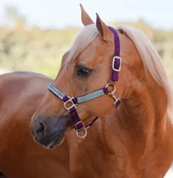 KENSINGTON ™ Premium Breakaway Halter