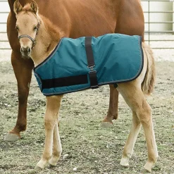 KENSINGTON ™ Signature Adjustable Large Foal Turnout