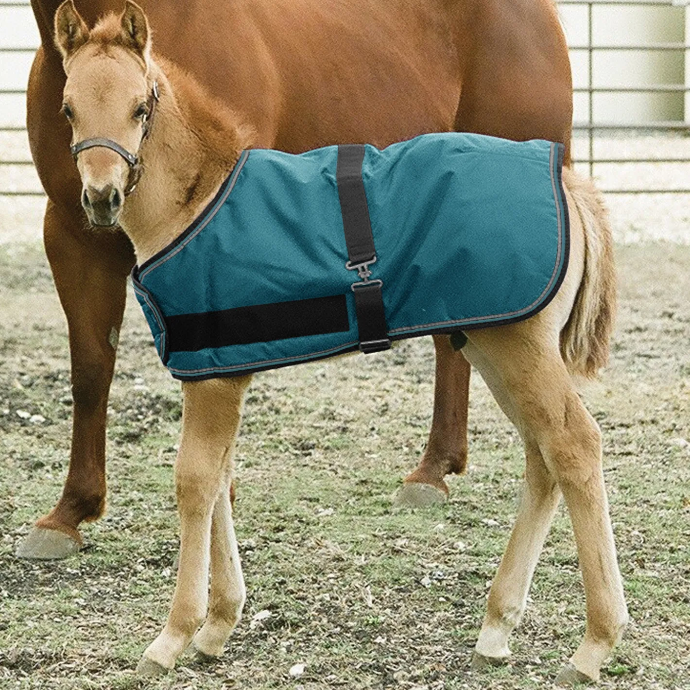 KENSINGTON ™ Signature Adjustable Large Foal Turnout