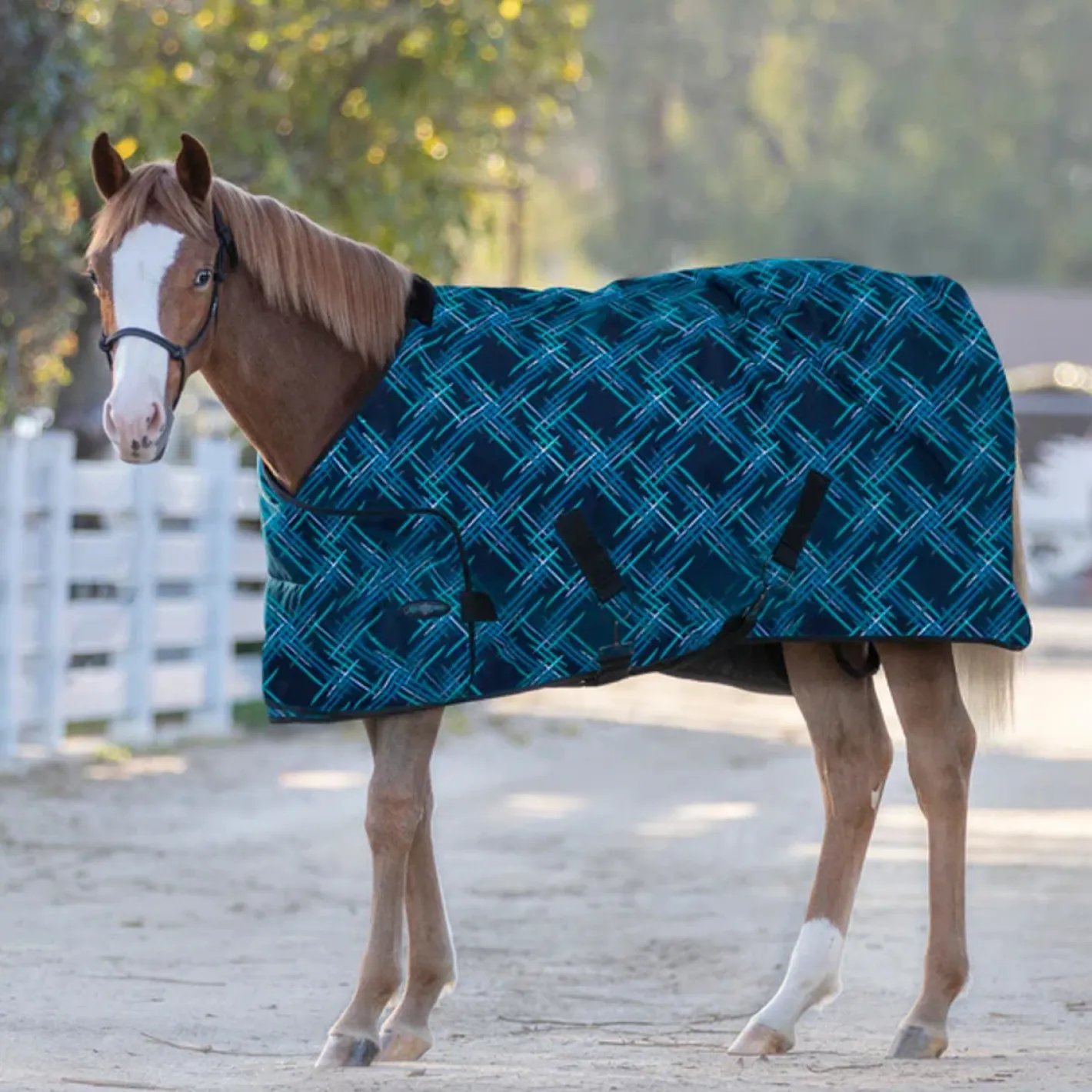KENSINGTON ™ Signature Adjustable Yearling Turnout Blanket