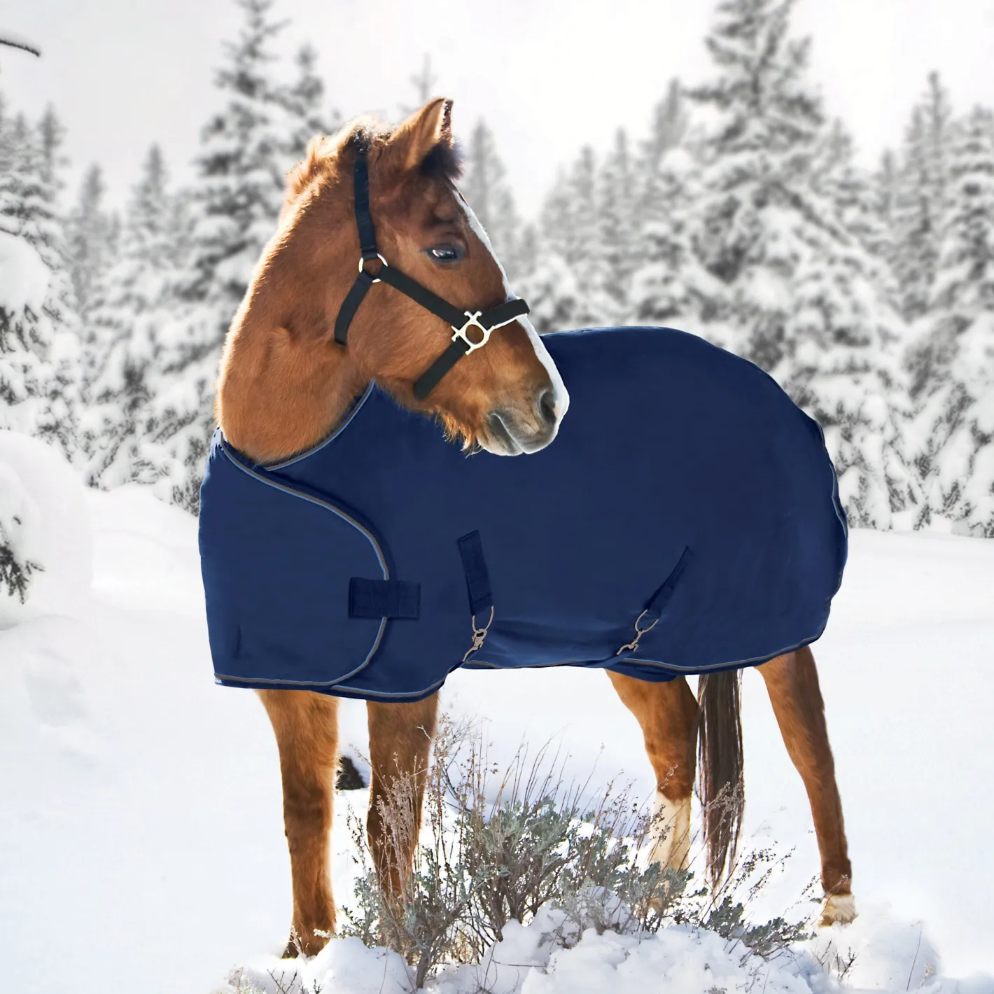KENSINGTON ™ Signature Adjustable Yearling Turnout Blanket