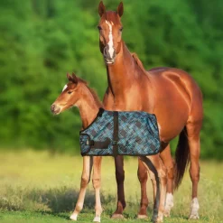 KENSINGTON ™ Signature Adjustable Small Foal Turnout Blanket