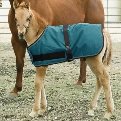 KENSINGTON ™ Signature Adjustable Small Foal Turnout Blanket