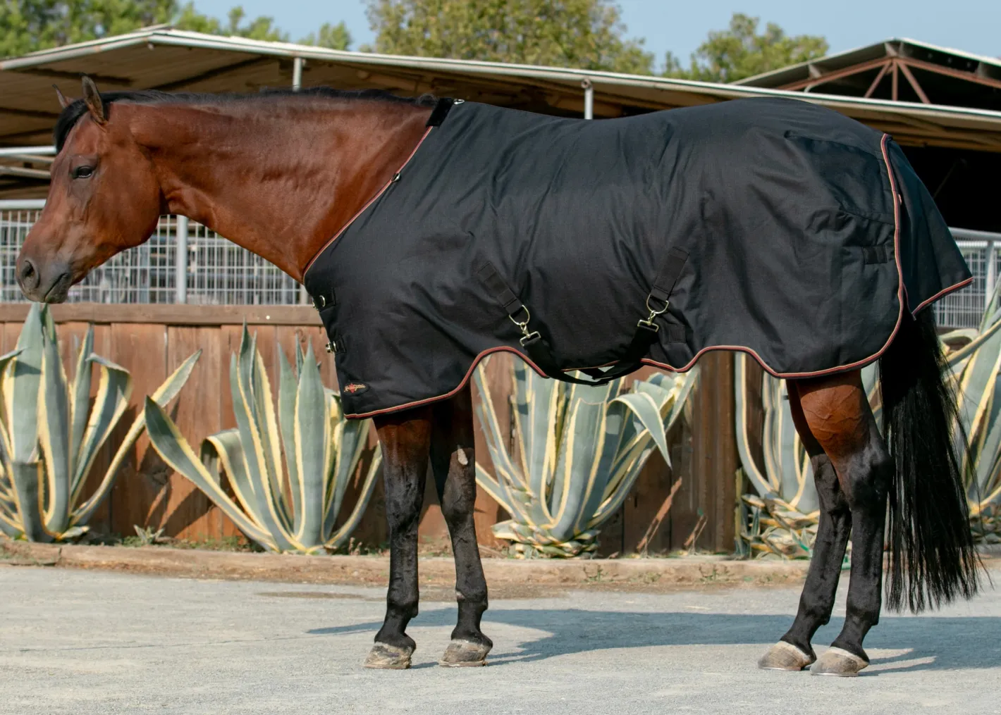 KENSINGTON ™ Signature Medium-Weight Turnout Blanket
