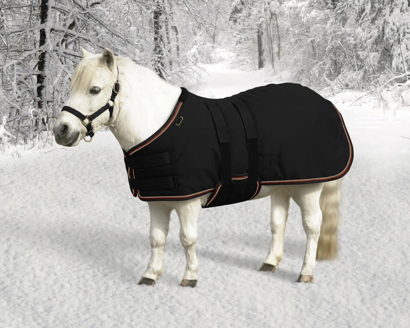 KENSINGTON ™ Signature Mini Heavyweight Turnout Blanket