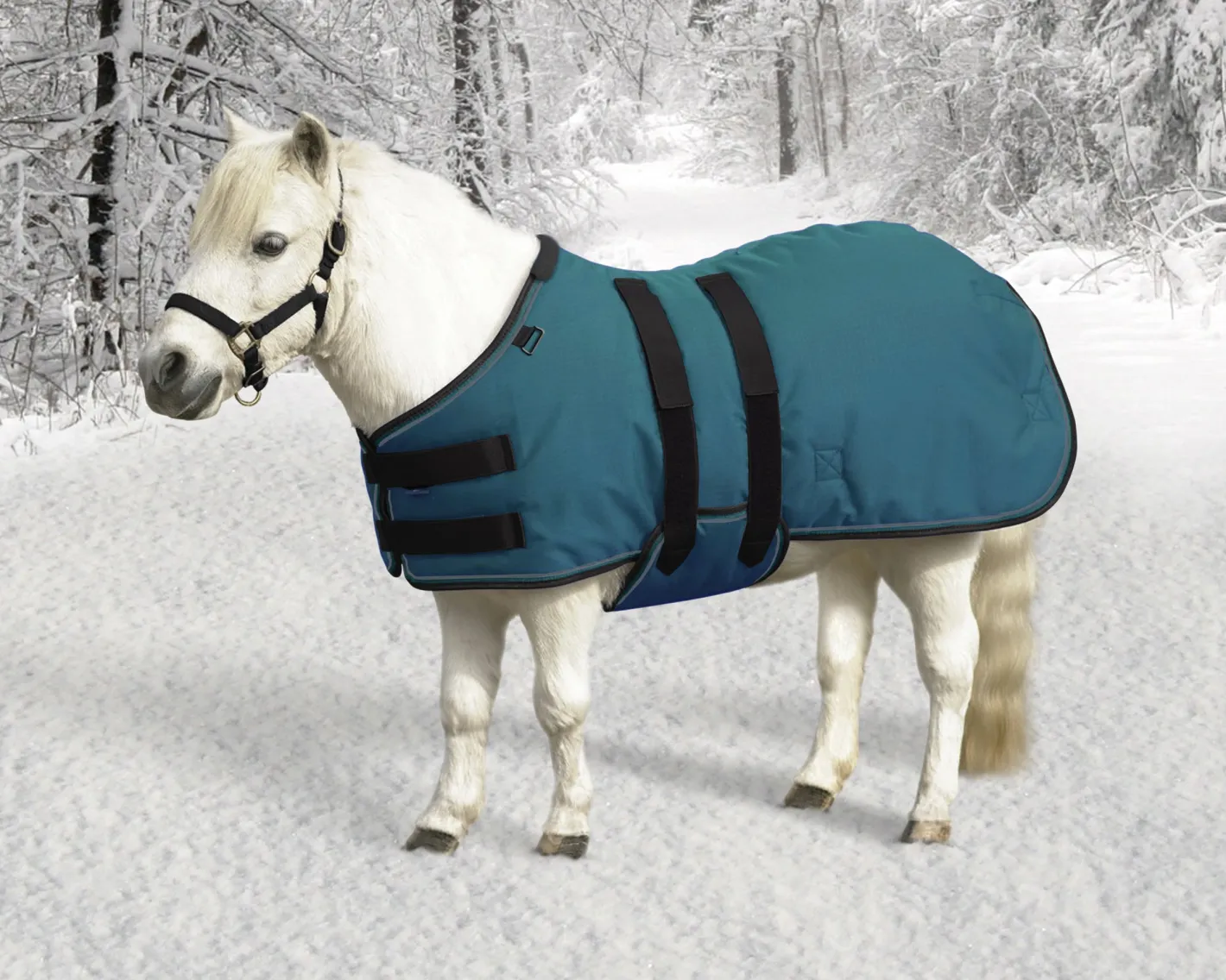 KENSINGTON ™ Signature Mini Heavyweight Turnout Blanket