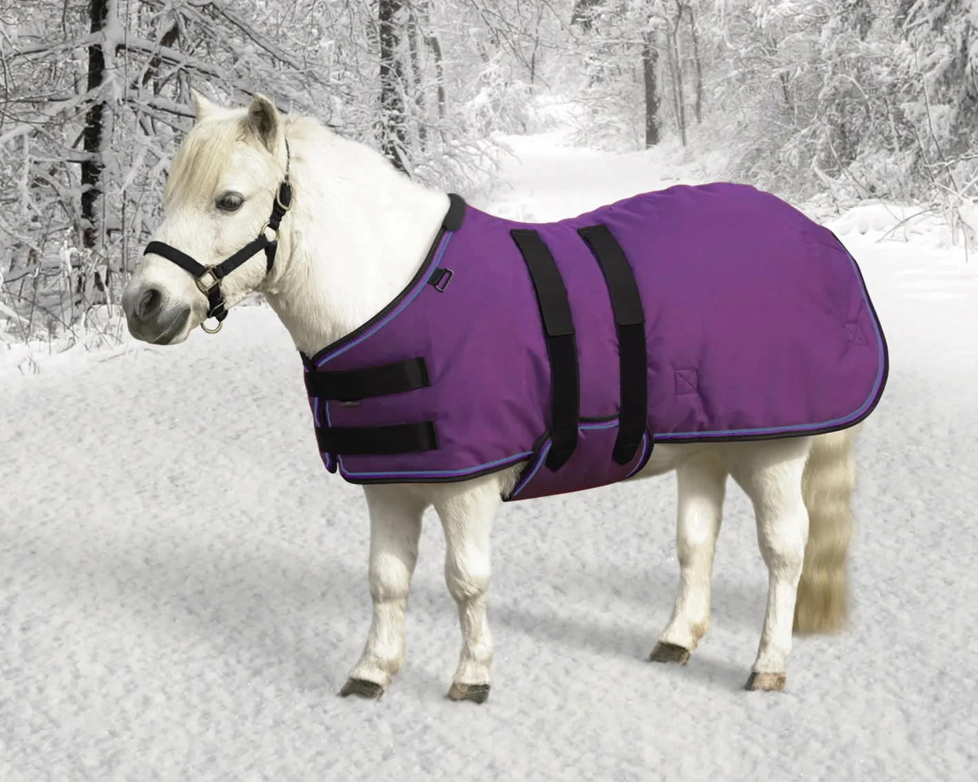 KENSINGTON ™ Signature Mini Heavyweight Turnout Blanket